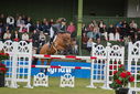 Filename=PT9_2277.JPG
Filesize=214KiB
Dimensions=800x534
Date added=Jul 14, 2025 PT9_2277.JPG
