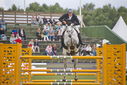 Filename=PT9_2287.JPG
Filesize=185KiB
Dimensions=800x534
Date added=Jul 14, 2025 PT9_2287.JPG