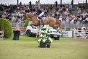Filename=PT9_2390.JPG
Filesize=254KiB
Dimensions=800x534
Date added=Jul 14, 2025 PT9_2390.JPG