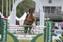 Filename=PT9_2391.JPG
Filesize=175KiB
Dimensions=800x534
Date added=Jul 14, 2025 PT9_2391.JPG