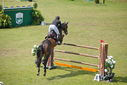 Filename=PT9_2543.JPG
Filesize=259KiB
Dimensions=800x534
Date added=Jul 14, 2025 PT9_2543.JPG