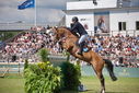Filename=PT9_2705.JPG
Filesize=252KiB
Dimensions=800x534
Date added=Jul 14, 2025 PT9_2705.JPG