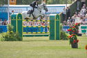 Filename=PT9_2796.JPG
Filesize=190KiB
Dimensions=800x534
Date added=Jul 14, 2025 PT9_2796.JPG