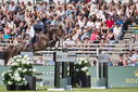 Filename=PT9_2828.JPG
Filesize=249KiB
Dimensions=800x534
Date added=Jul 14, 2025 PT9_2828.JPG