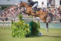 Filename=PT9_2848.JPG
Filesize=260KiB
Dimensions=800x534
Date added=Jul 14, 2025 PT9_2848.JPG