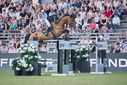 Filename=PT9_2938.JPG
Filesize=240KiB
Dimensions=800x534
Date added=Jul 14, 2025 PT9_2938.JPG
