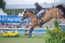 Filename=PT9_2942.JPG
Filesize=194KiB
Dimensions=800x534
Date added=Jul 14, 2025 PT9_2942.JPG