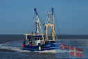 Filename=_AAF0934.jpg
Filesize=303KiB
Dimensions=1224x817
Date added=Sep 21, 2025 _AAF0934.jpg