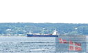 Filename=_AAF2235.jpg
Filesize=352KiB
Dimensions=1280x782
Date added=Sep 23, 2025 _AAF2235.jpg